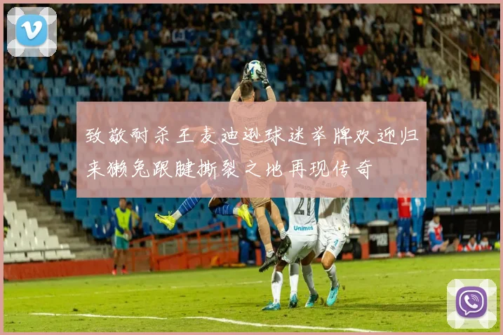 致敬耐杀王麦迪逊球迷举牌欢迎归来獭兔跟腱撕裂之地再现传奇