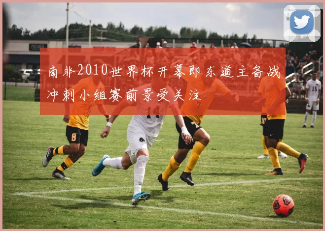 南非2010世界杯开幕即东道主备战冲刺小组赛前景受关注
